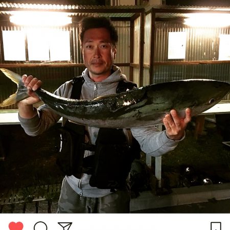 メータージャストブリ