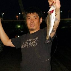 一時間の夜遊び