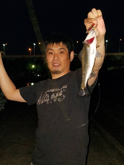 一時間の夜遊び