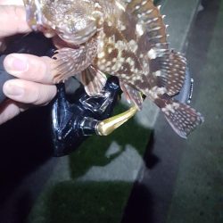 良いサイズが出ない！