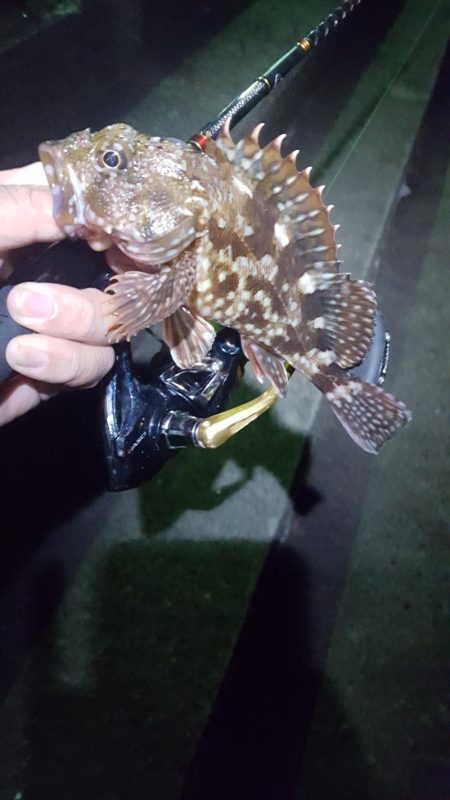 良いサイズが出ない！