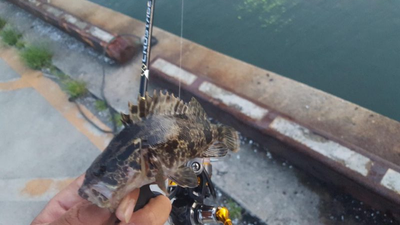 デイメバリング