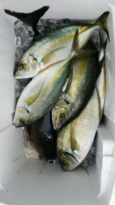 雨のなか釣り堀へ