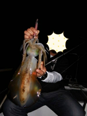 百匹屋さんで田辺湾エギング