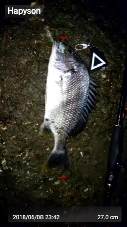 太田川放水路チニング