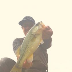 やっとやっとやっとの♪