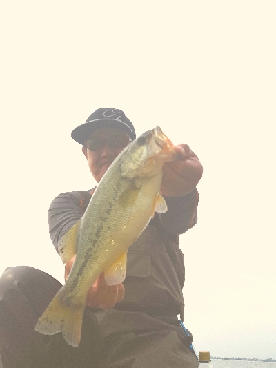 やっとやっとやっとの♪