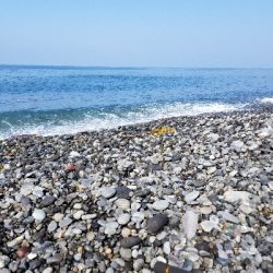 ペンペンシイラ