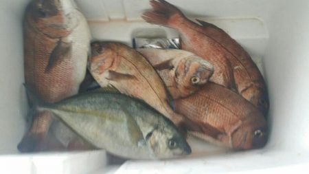 釣りポート田尻