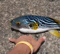 これは…、一体！？（´ 3｀)