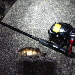 フロートメバリング