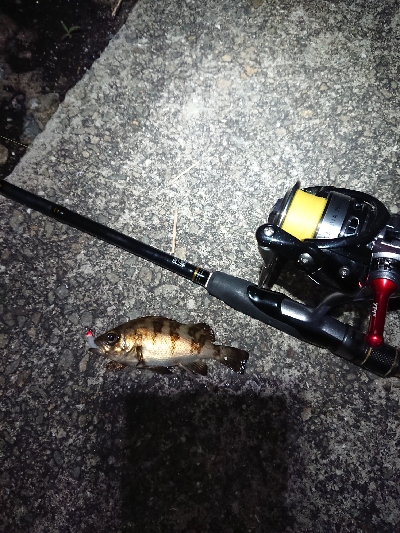 フロートメバリング