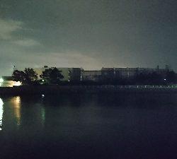 安定の花見川シーバス