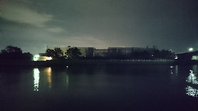 安定の花見川シーバス