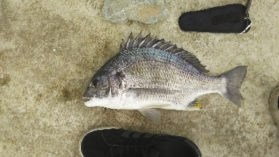 大津川 河口付近にて