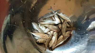 たまには子供と