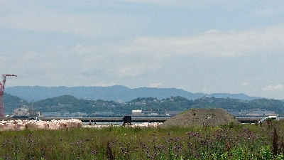 坊主逃れに・・・