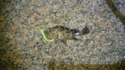 gashiland 2 ~endless rain~