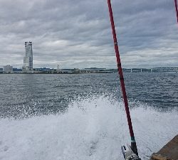 初めての船釣り