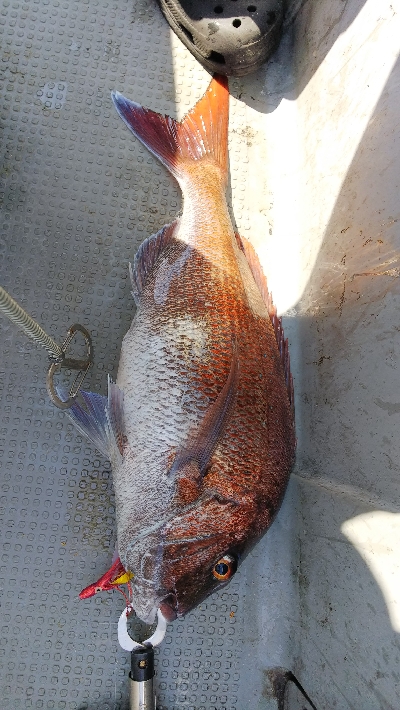 ジギング、鯛ラバ