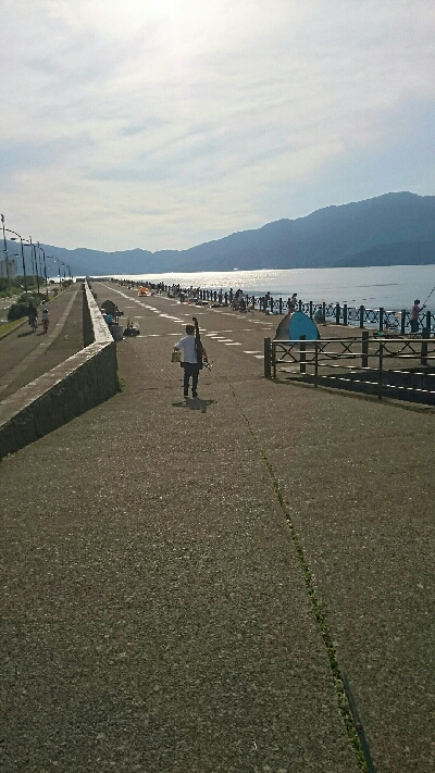 今年初のサビキ！