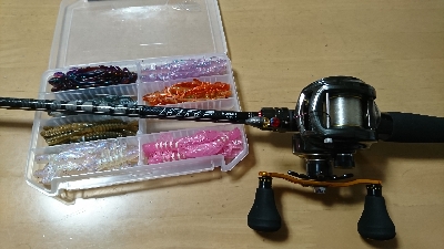 ロックフィッシュ調査