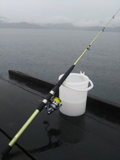 のませは不発、、