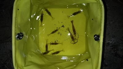 サイズが小さい…