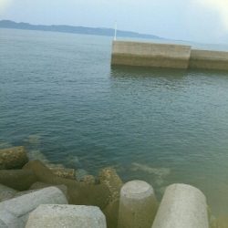 ひさびさの釣果