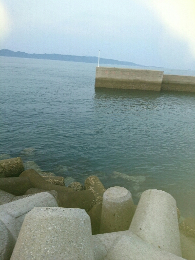 ひさびさの釣果