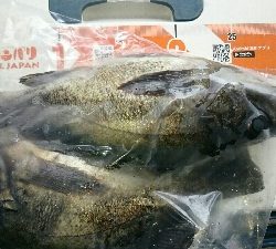 デカメバル、プラッキング