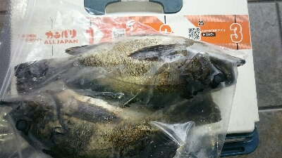 デカメバル、プラッキング