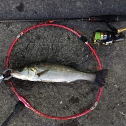 夜明け前から日没後まで