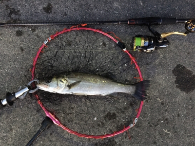 夜明け前から日没後まで
