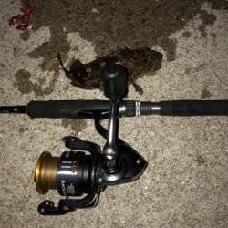 サイズが‥‥‥。