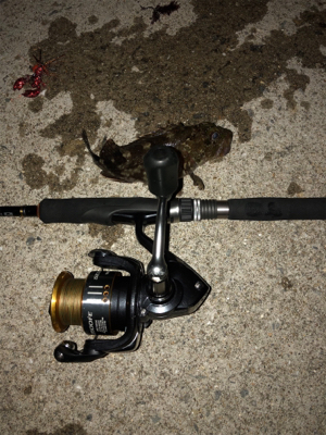 サイズが‥‥‥。