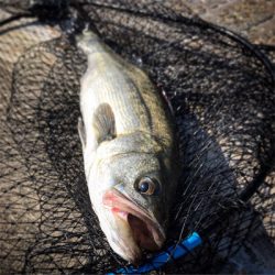 毎週徹夜じゃ身が持ちません（笑）