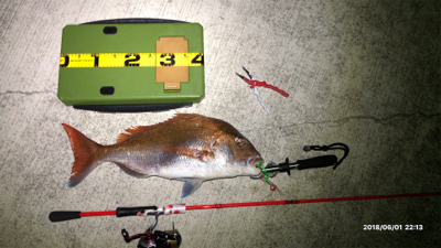 ショアタイラバ