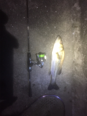 フィーバータイムになったが…