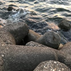 夜釣りでストレス発散