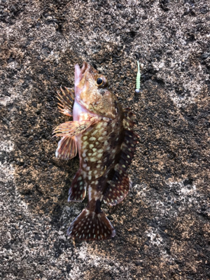 アーミーベイト。