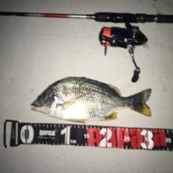 和歌山五目ゲーム