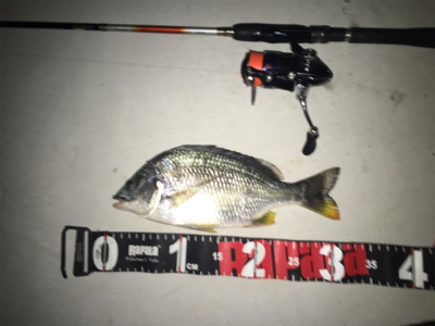 和歌山五目ゲーム