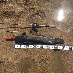 デイナマズゲーム2