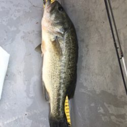 梅雨入り前の晴天釣行