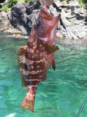 手漕ぎボートでモンハタ・ガシラ