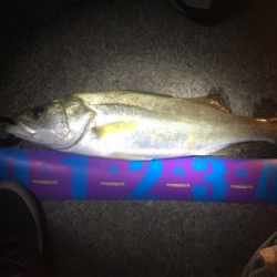 グループ釣行（22時間釣り）