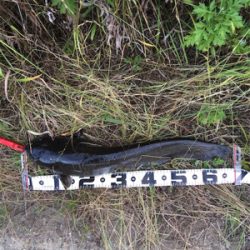 仕事終わりにドシャローエリアで