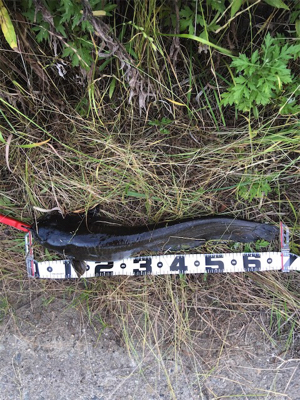 仕事終わりにドシャローエリアで