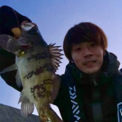 男鹿半島ライトゲーム